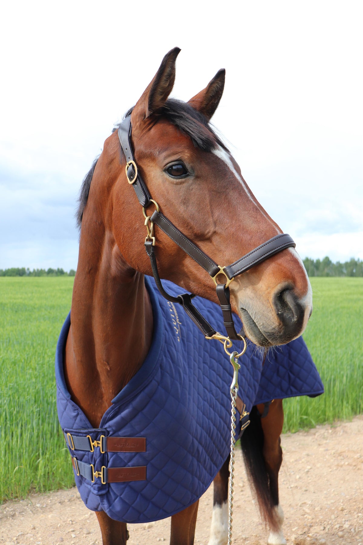 Stable rug 70g, 165cm