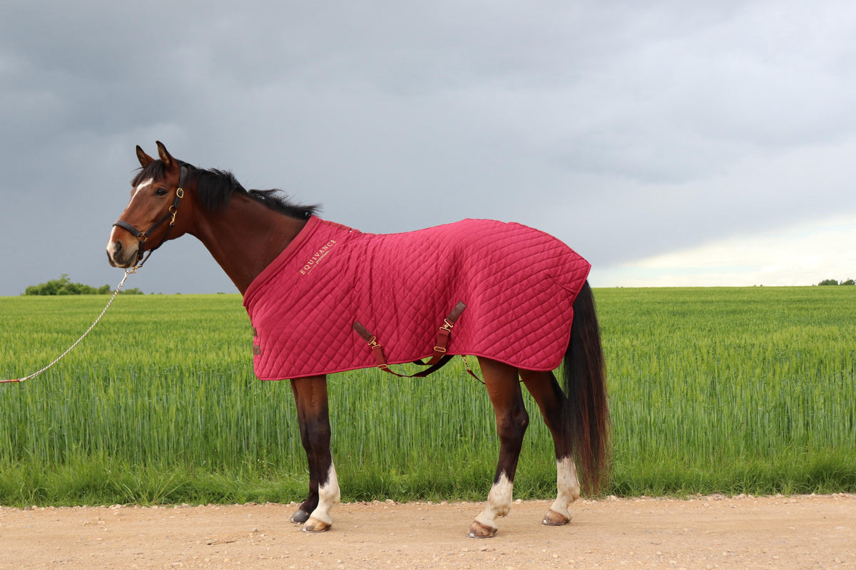 Stable rug, 70g