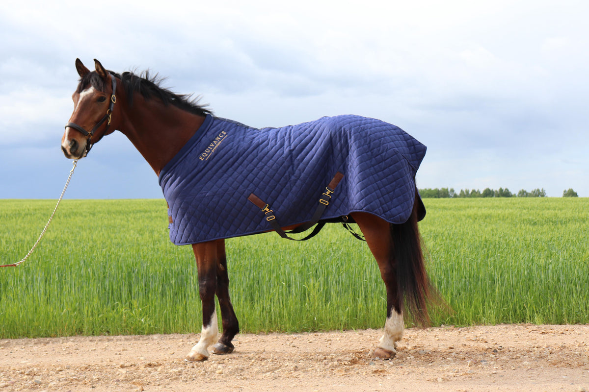 Stable rug 70g, 165cm
