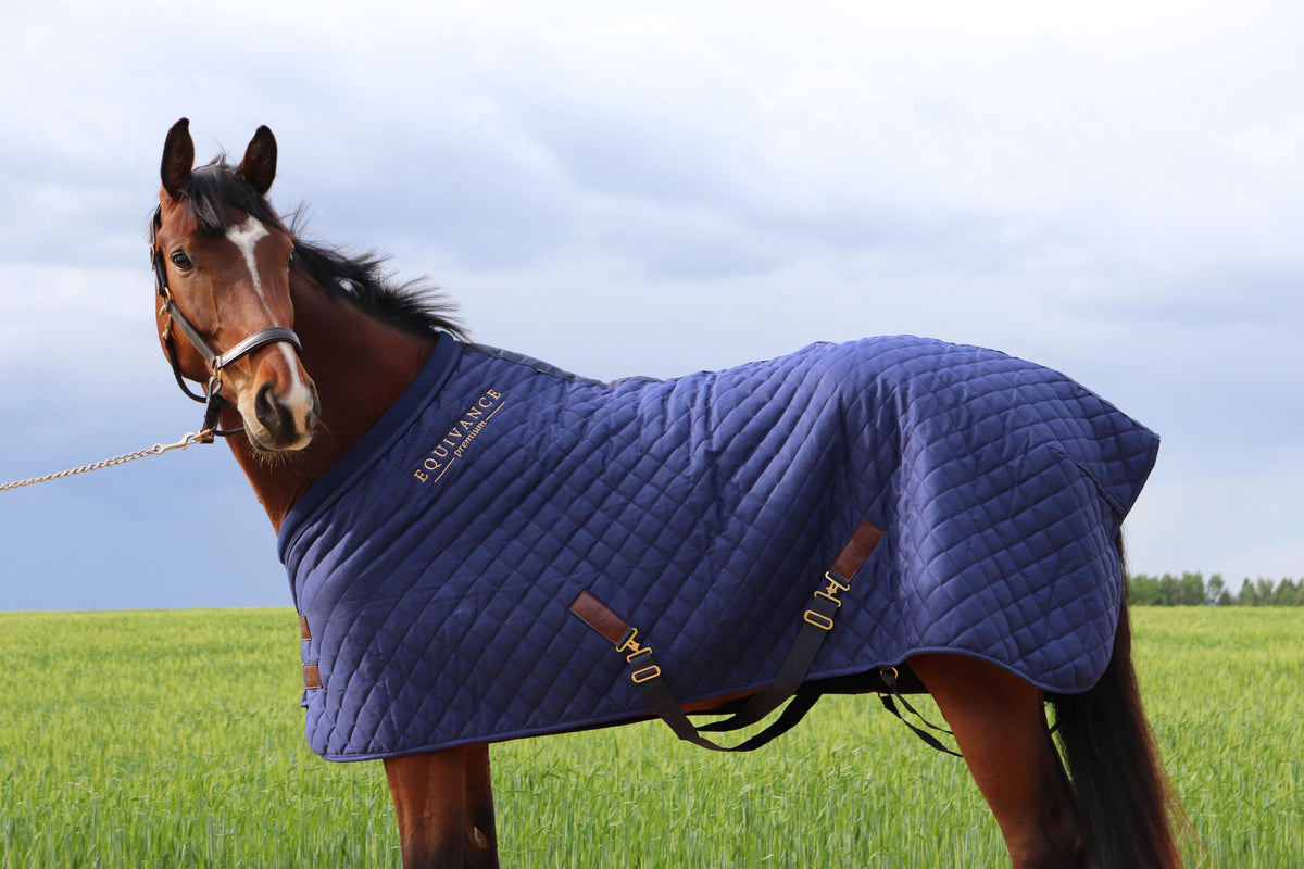 Stable rug 70g, 165cm