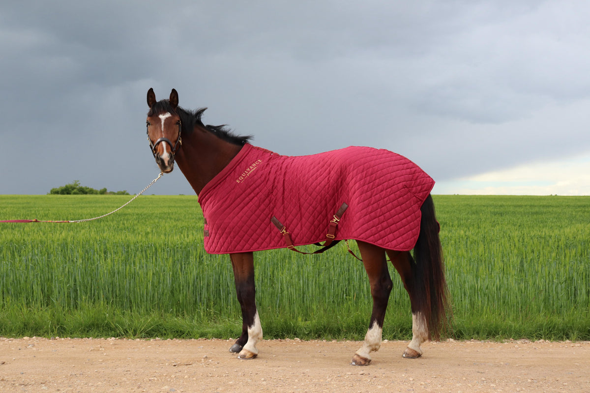 Stable rug, 70g