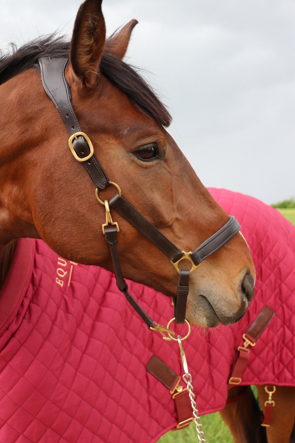 Stable rug, 70g