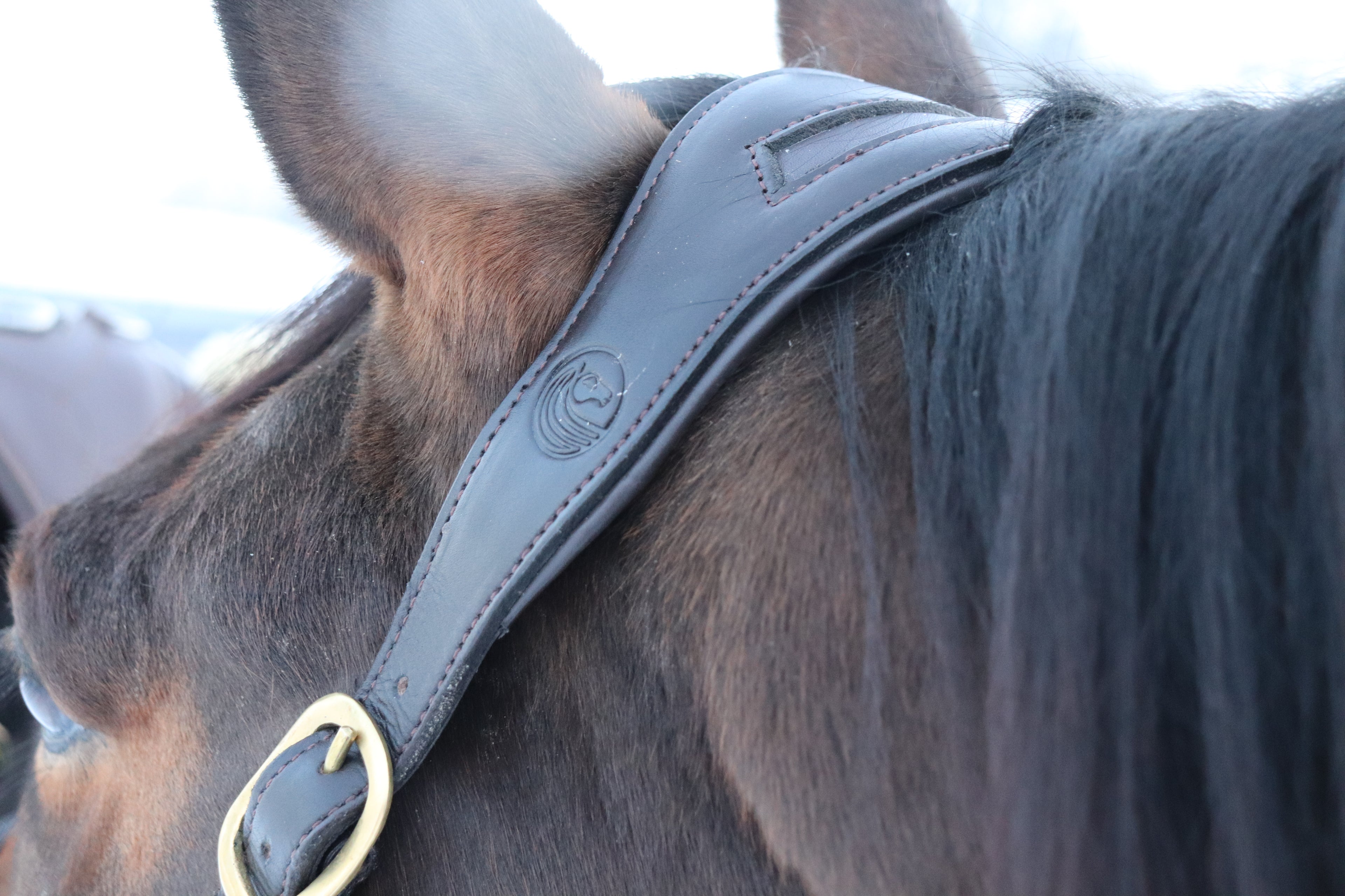 Anatomical Leather Halter