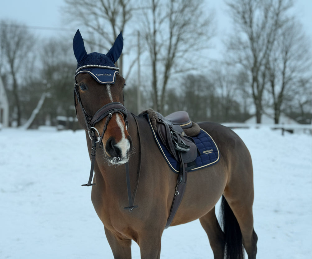 Saddle pad and ear bonnet set